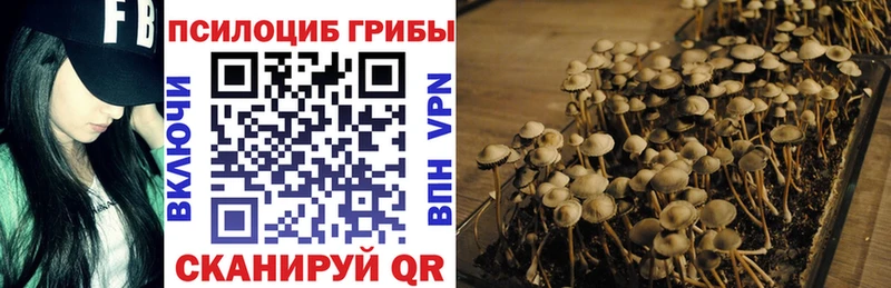 mega онион  маркетплейс Telegram  Малмыж  Псилоцибиновые грибы Cubensis  магазин продажи наркотиков 